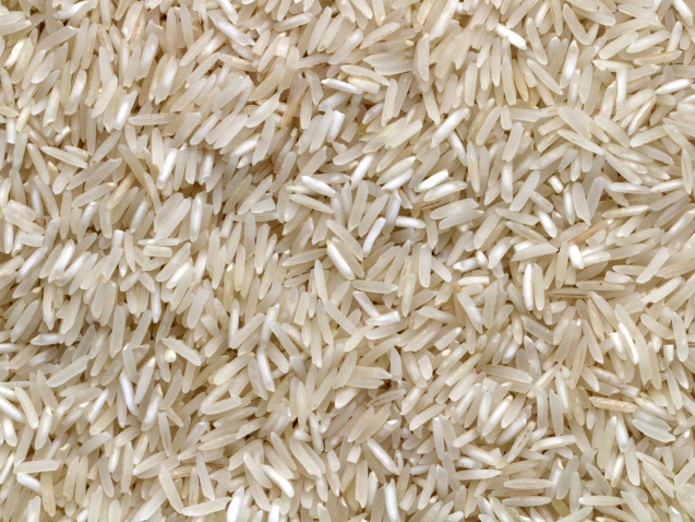 rice-pierre-bamin--LdilhDx3sk-unsplash