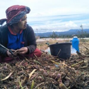Arsip KontraS Sumut